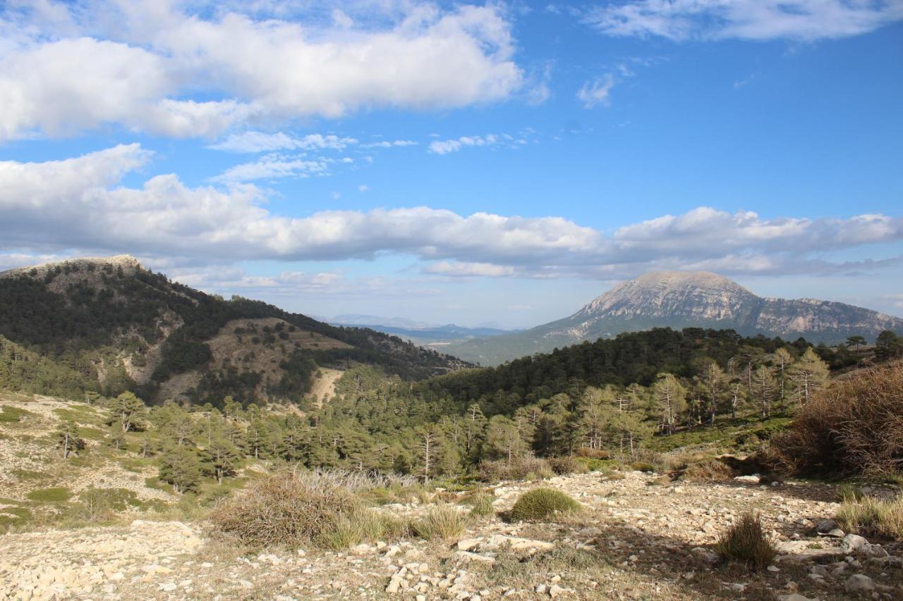 La Noguera Casa Rural วูเอสการ์ ภายนอก รูปภาพ